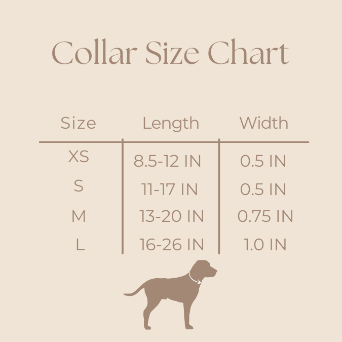 Palms Collar
