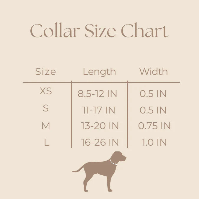 Noir Luxe Collar