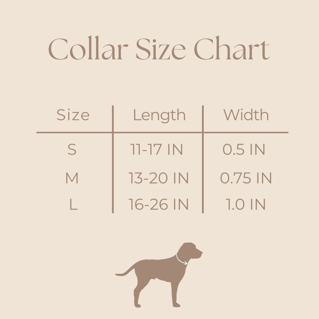 Golden Glow Collar