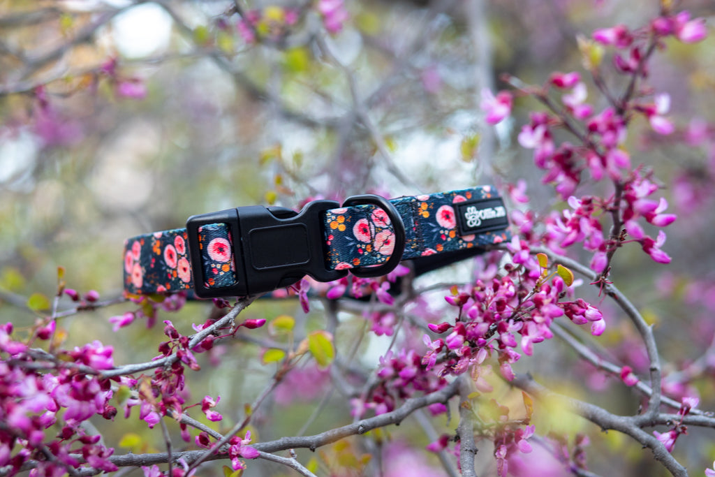 Full Bloom Collar