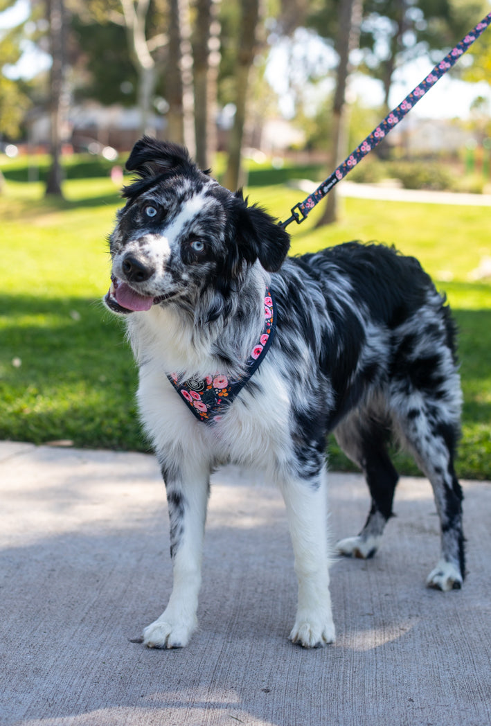 Full Bloom Leash