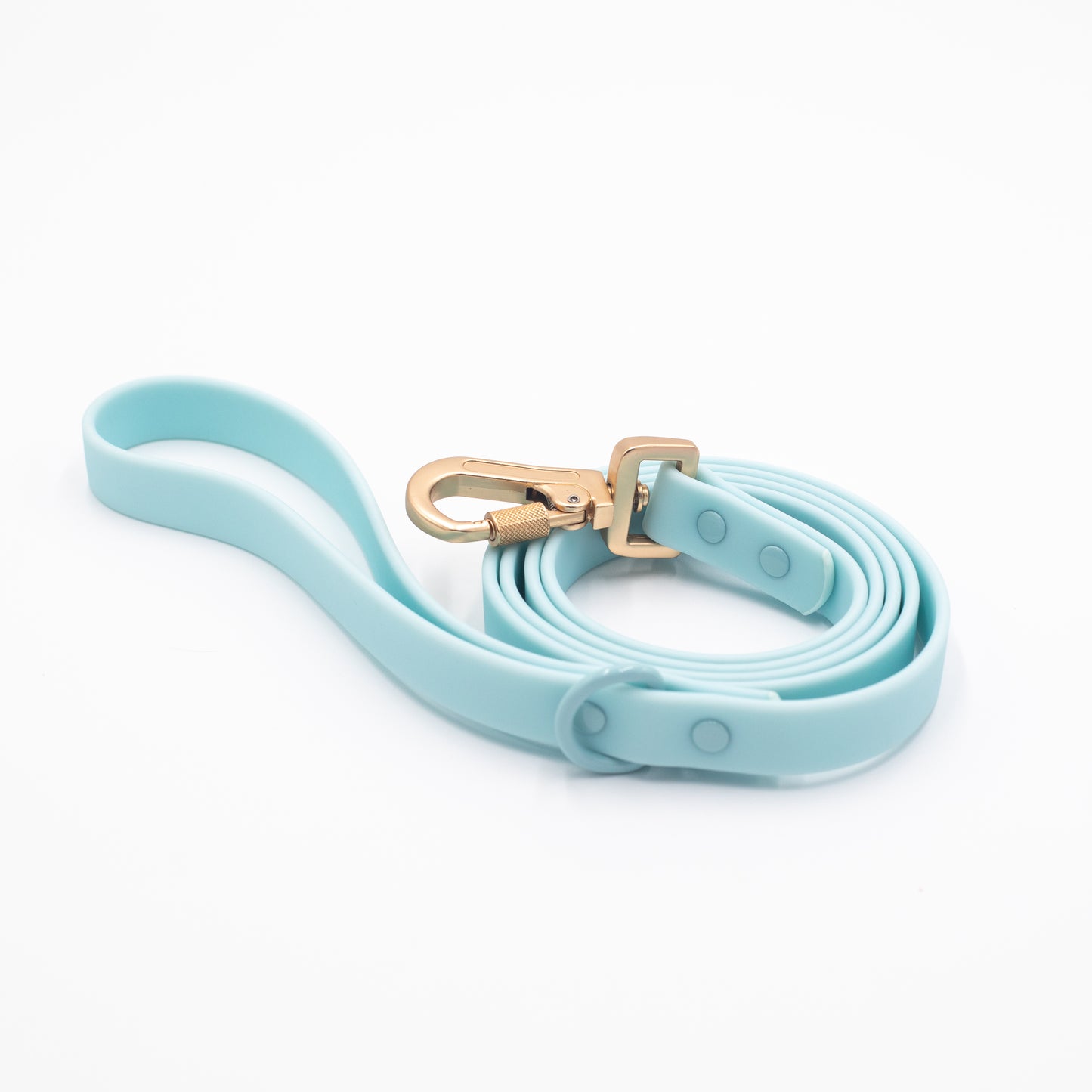 Waterproof Leash