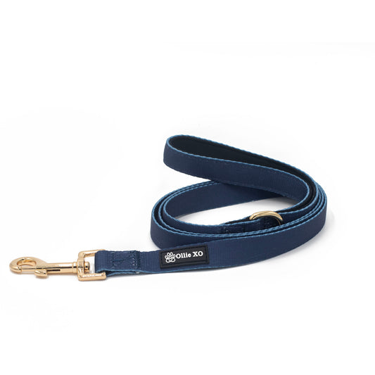 Midnight Luxe Leash